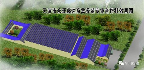 巾幗風采 | 天津市巾幗現(xiàn)代農(nóng)業(yè)科技示范基地--天津市永旺鑫達畜禽養(yǎng)殖專業(yè)合作社